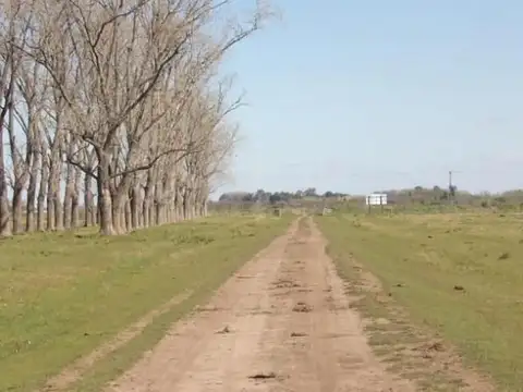 Campo en Venta en Chascomus, Partido de Chascomús