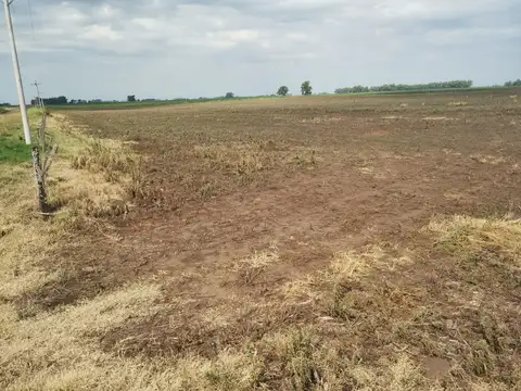 Campo en Venta en Espigas, Partido de Olavarría