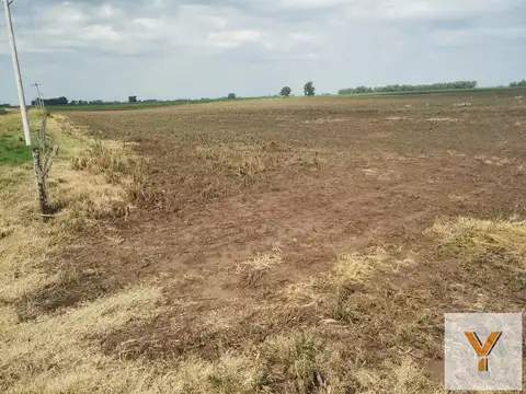 Campo en Venta en Espigas, Partido de Olavarría