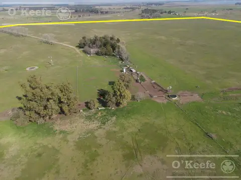 Campo en Venta en Chascomus, Partido de Chascomús