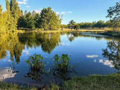 Campo en Venta en Zarate, Partido de Zárate