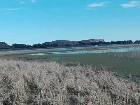 Campo en Venta en Mar del Plata, Partido de General Pueyrredón