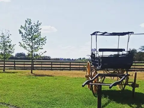Campo en Venta en Exaltacion de la Cruz, Partido de Exaltación de la Cruz