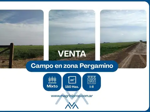Campo en Venta en El Socorro, Partido de Pergamino