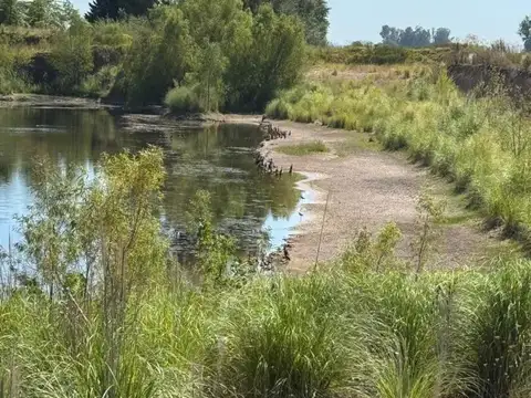 Campo en Venta en San Andres de Giles, Partido de San Andrés de Giles
