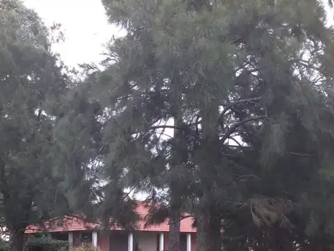 Campo en Venta en San Pedro, Partido de San Pedro