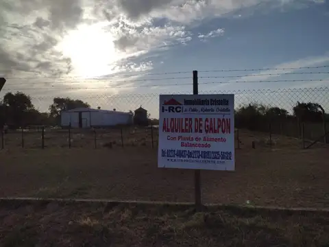 Galpón en Alquiler en Carmen de Areco, Partido de Carmen de Areco