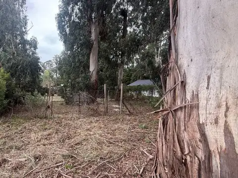 Terreno en Venta en Mar del Plata, Partido de General Pueyrredón