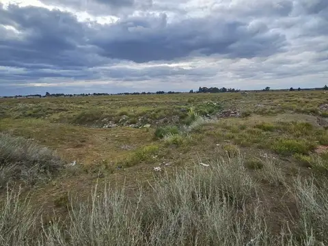 Terreno en Venta en Puerto Rosales, Partido de Coronel de Marina Leonardo Rosales