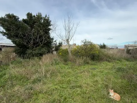 Terreno en Venta en Dolores, Partido de Dolores