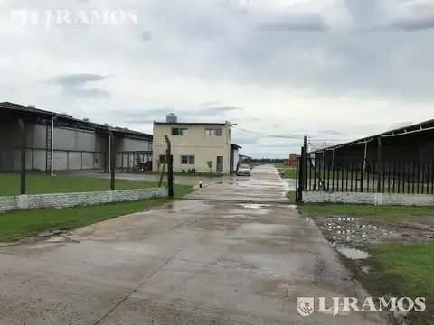 Galpón en Alquiler en Zarate, Partido de Zárate