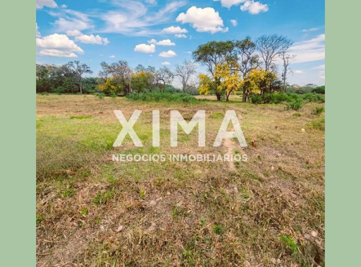Terreno · 555m²