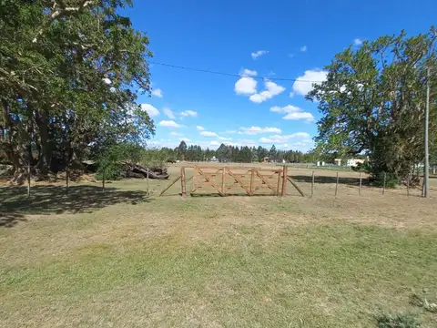 Terreno en Alquiler en Abasto, Partido de La Plata