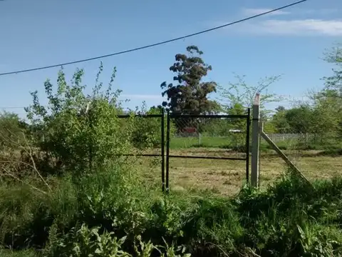 Terreno en Alquiler en Villa Elisa, Partido de La Plata