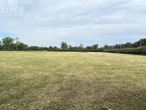 Terreno en Alquiler en Manzanares, Partido de Pilar
