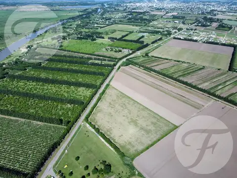 Terreno en Alquiler en San Pedro, Partido de San Pedro