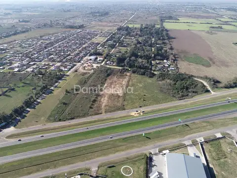 Terreno en Alquiler en Centro  - Zarate, Zarate