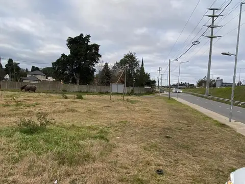 Terreno en Alquiler en Pilar, Partido de Pilar