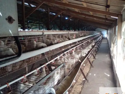 Fondo de comercio en Venta en Mar del Plata, Partido de General Pueyrredón