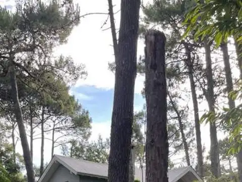 Casa en Alquiler Temporal en Carilo, Partido de Pinamar