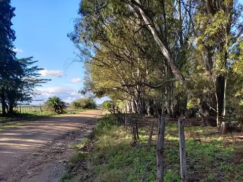 Quinta en Venta en Reta, Partido de Tres Arroyos