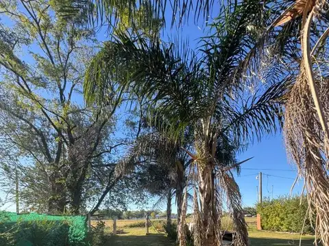 Quinta en Venta en San Sebastian, Partido de Chivilcoy