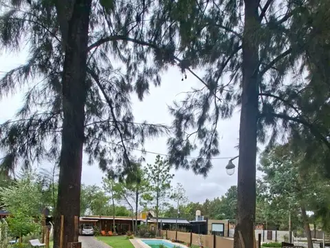 Quinta en Venta en Domselaar, Partido de San Vicente