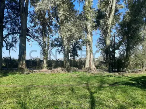 Quinta en Venta en Villa Parque Sicardi, Partido de La Plata