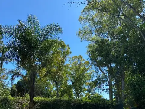Quinta en Venta en Zarate, Partido de Zárate