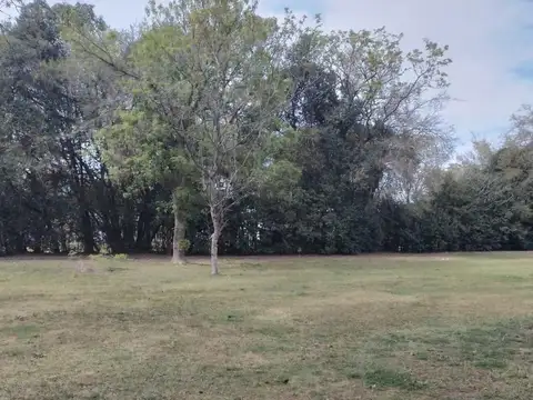 Quinta en Venta en Ignacio Correas Arana, Partido de La Plata