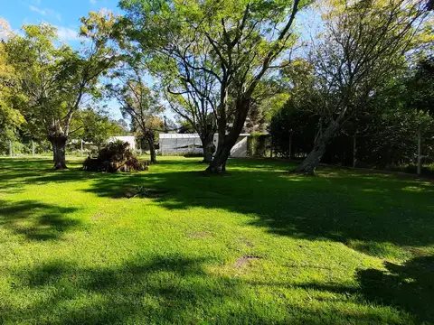 Quinta en Venta en Centro Agricola el Pato, Partido de Berazategui