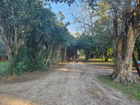 Quinta en Venta en Mercedes, Partido de Mercedes