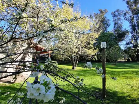 Quinta en Venta en Miramar, Partido de General Alvarado
