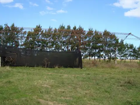 Quinta en Venta en Mar del Plata, Partido de General Pueyrredón
