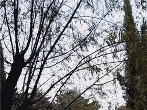Quinta en Venta en Pilar, Partido de Pilar