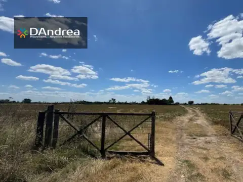 Quinta en Venta en Tomas Jofre, Partido de Mercedes