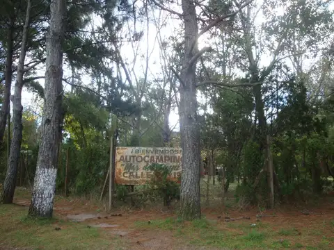 Negocio especial en Venta en Mar del Tuyu, Partido de La Costa