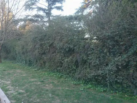 Negocio especial en Venta en Villa Gobernador Udaondo, Partido de Ituzaingó