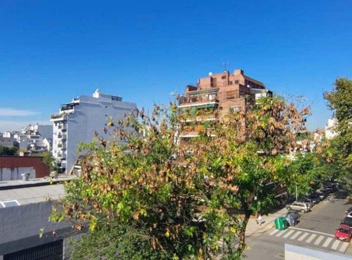 Departamento · 31m² · 2 Ambientes