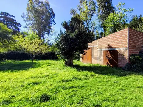 Galpón en Venta en Domselaar, Partido de San Vicente