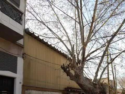 Galpón en Venta en Remedios de Escalada, Partido de Lanús