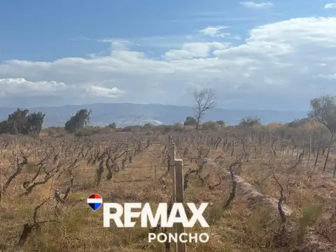 Terreno en Venta en Fiambala, Tinogasta
