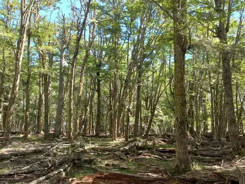 Terreno en Venta en Tolhuin, Tierra del Fuego