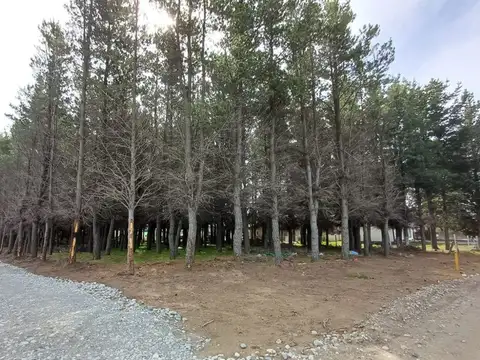 Terreno en Venta en Dina Huapi, Pilcaniyeu
