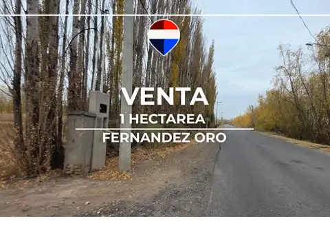 Campo en Venta en General Fernández Oro, General Roca