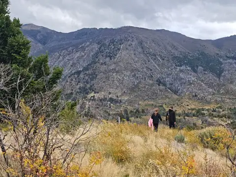 Campo en Venta en Cuesta del Ternero, Bariloche