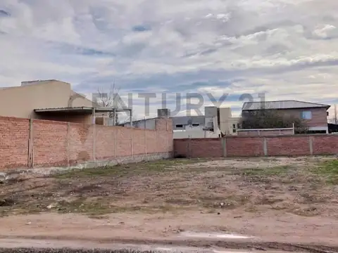 Terreno en Venta en Centenario, Confluencia