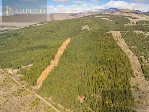 Terreno en Venta en San Martin de los Andes, Lácar