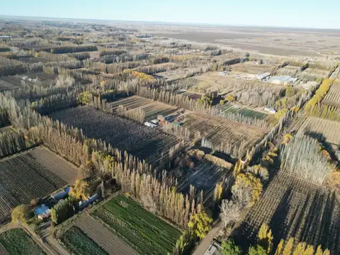 Campo en Venta en Vista Alegre Sur, Confluencia