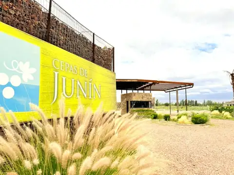 Casa en Venta en Algarrobo Grande, Junín